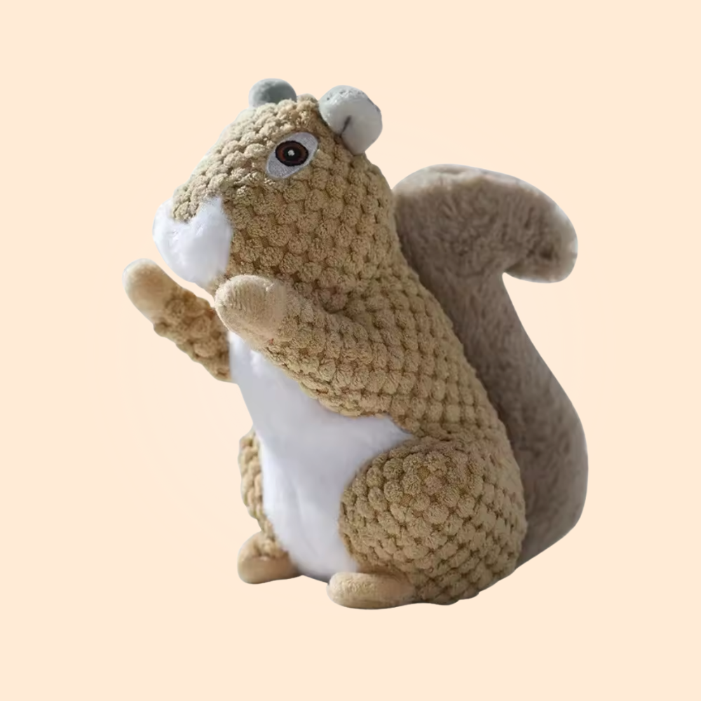 Scruff Squirrel